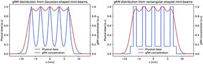 Proposal of a Chemical Mechanism for Mini-Beam and Micro-Beam Efficacy